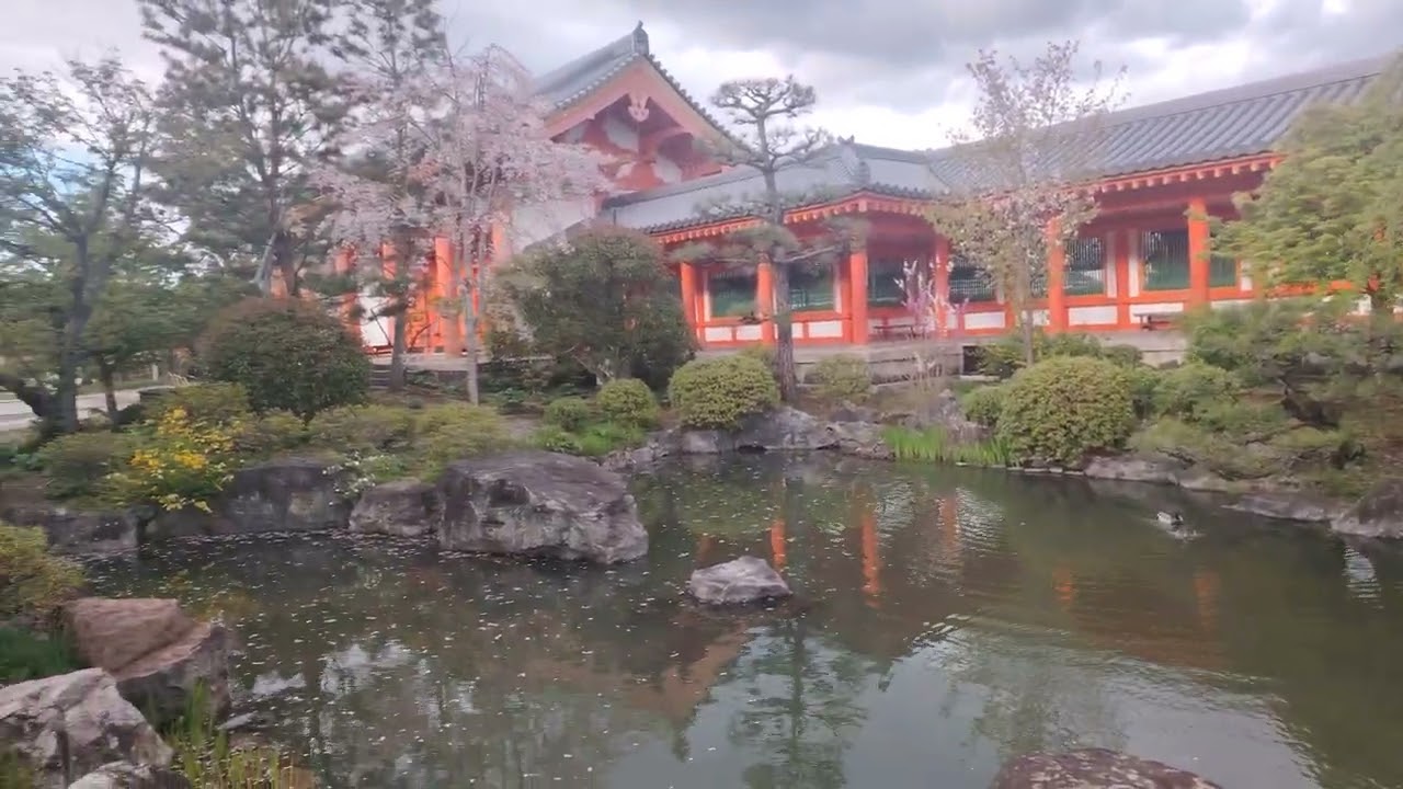 Sanjusangendo Shrine in Kyoto Japan #Sanjusangendo #kyoto #japan #japansightseeing #kyotosightseeing