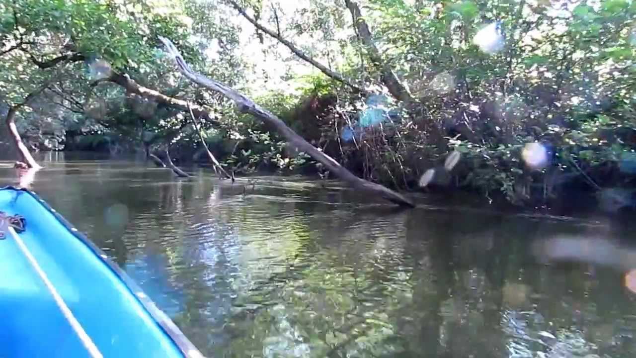 Courant d'Huchet : du lac de Léon à l'île aux chênes