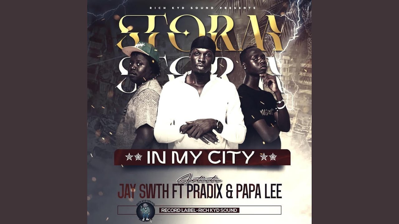 Storm in my city (feat. Pradix x papa lee)