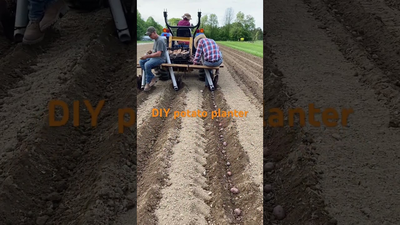 2024 potato planting