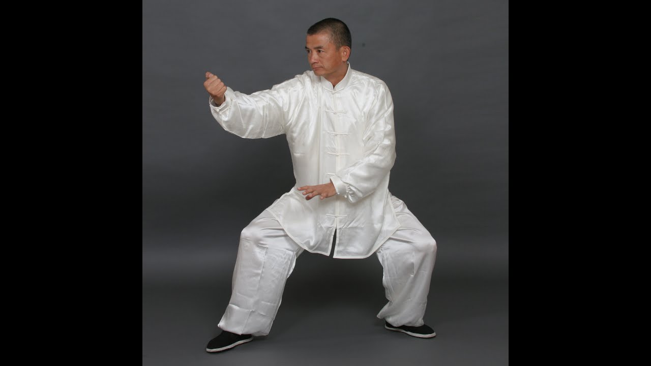 杨氏太极拳十字手 十字腿 退步跨虎推手，技击及练法 Yang Style Taichichuan Push Hands, Martial Arts and Practice