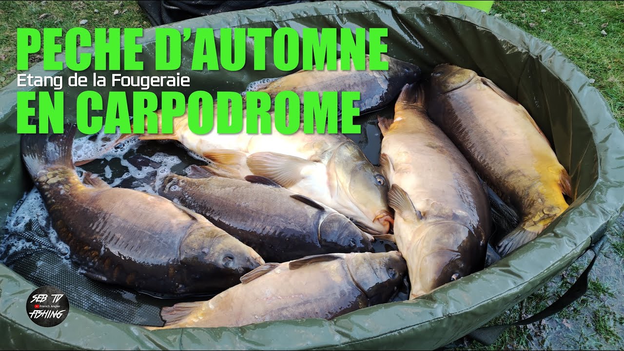 👊 PÊCHE en CARPODROME | ETANG de la FOUGERAIE