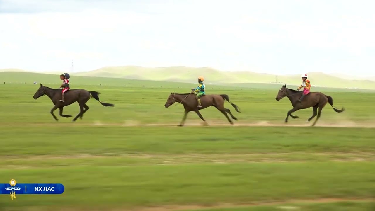 МУТМУ Д.ЛХАГВАСҮРЭН 