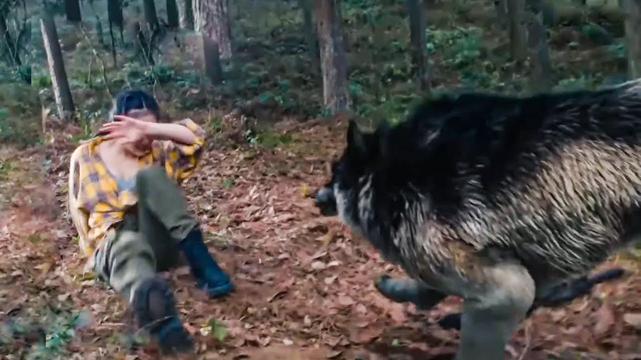 美女被野狼追击，不料摔倒在地！这下完蛋了！【金刚归来 KingKong is Coming Back】| 科幻/冒险 | 经典大本营