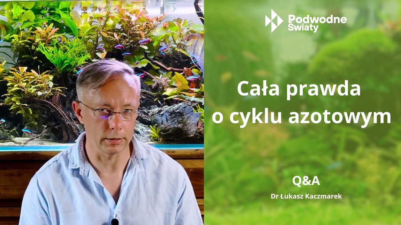 Dr Łukasz Kaczmarek. Cała prawda o cyklu azotowym.