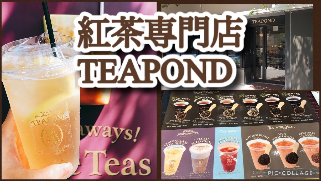 【Vlog】青山にあるハリーポッターの世界のようなハイセンスな紅茶専門店TEAPOND 【外苑前】