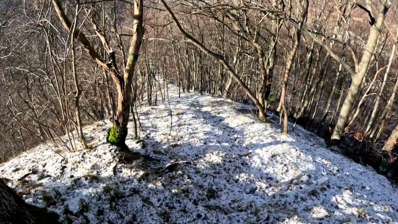 Hans Dommer Weg im Winter 