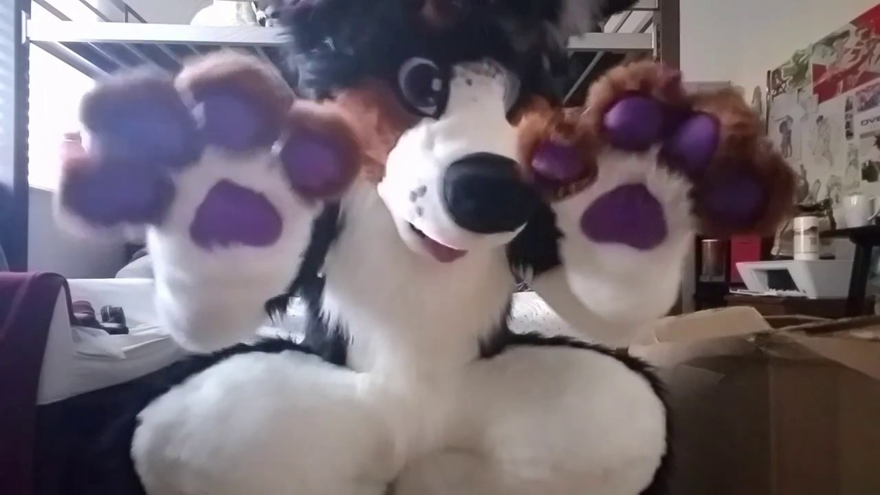 Kodii Fursuit Unboxing / Suit Up!
