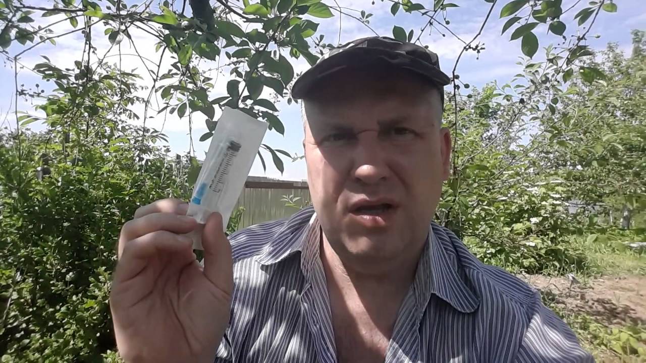 Трава не отпускает. Борюсь с хмелем