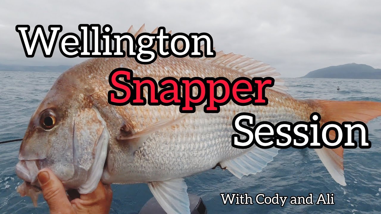 Wellington Snapper Session with Cody and Ali