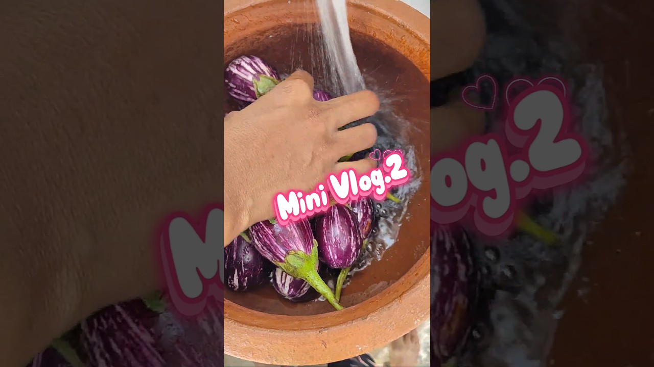 cooking video Mini Vlog 2 எண்ணெய்🍆கத்திரிக்காய்..🥳 