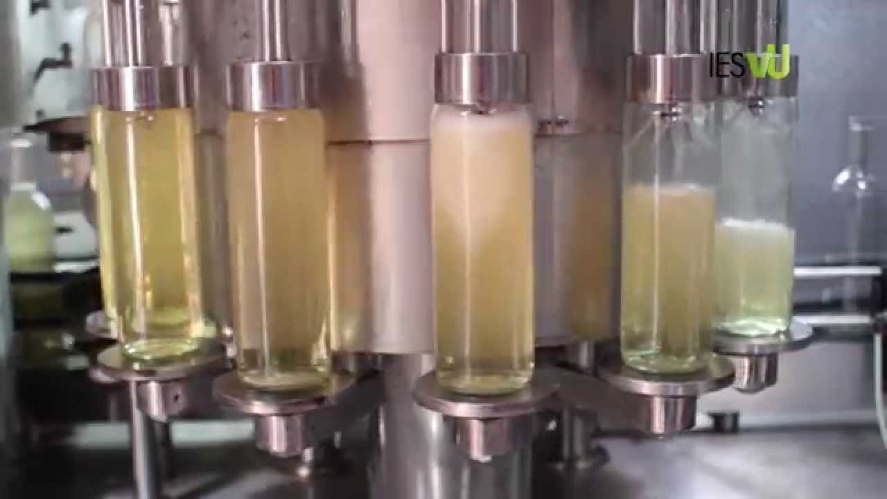 PRÁCTICA PROFESIONAL II -Línea de Embotellado de Vinos