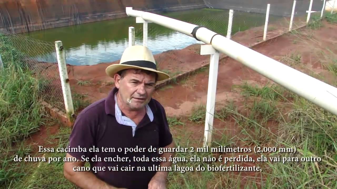 Suinocultura Limpa e Autossuficiente