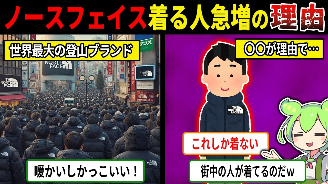 なぜ冬の街はノースフェイスだらけなのか？【ずんだもん＆ゆっくり解説】