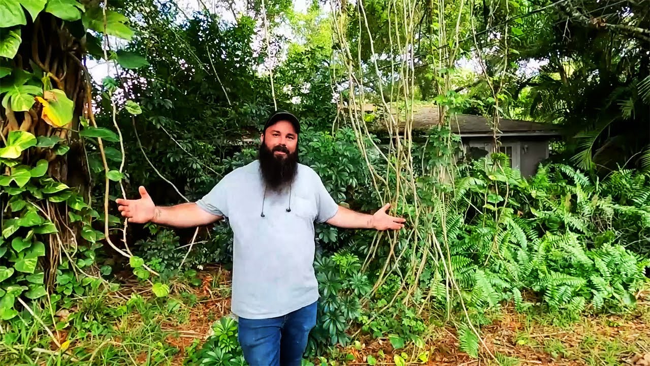 AFTER his PARENTS PASSED AWAY he WATCHED the HOUSE HE BUILT with his FATHER be RECLAIMED by Nature!
