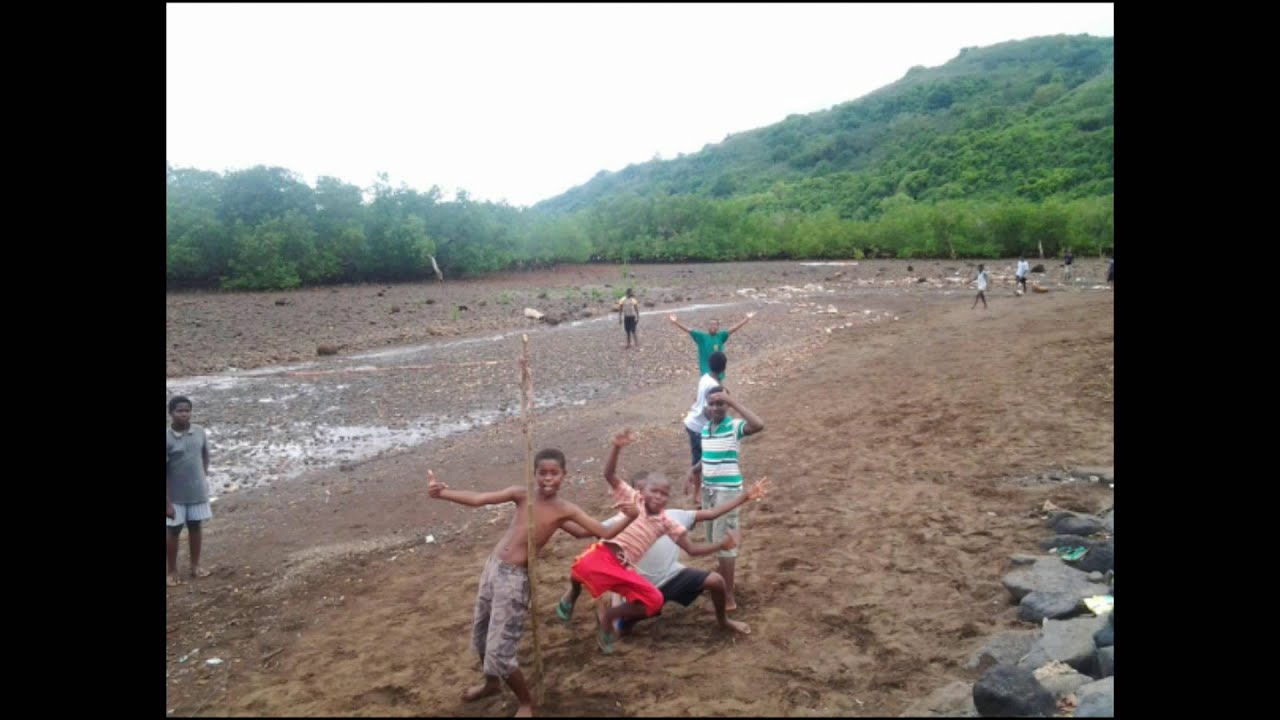 handrema version 2013