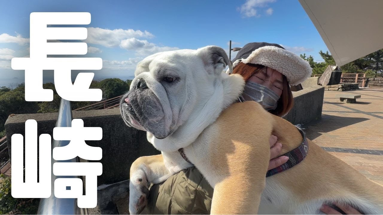 日本本土最東・最南・最北端を制した犬、遂に最西端攻略で全国制覇する！