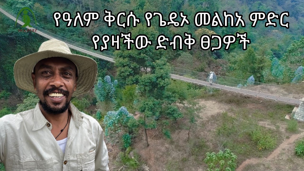 #የጌዴኦ የዓለም ቅርስ ድብቅ ፀጋዎች #ሀገሬ #ጉዞ_ኢትዮጵያ #ጌዴኦ  #Gedeo #Dilla #travelEthiopia #ethiopiangeographic