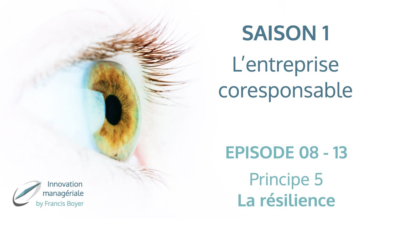 E8 - 13 Entreprise coresponsable, principe N° 5, la résilience