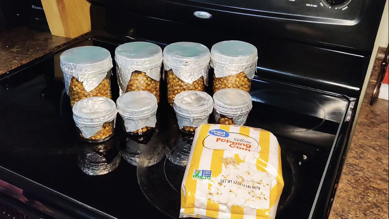 EASY POPCORN TEK! NO SOAK NO RINSE! MYCOLOGY