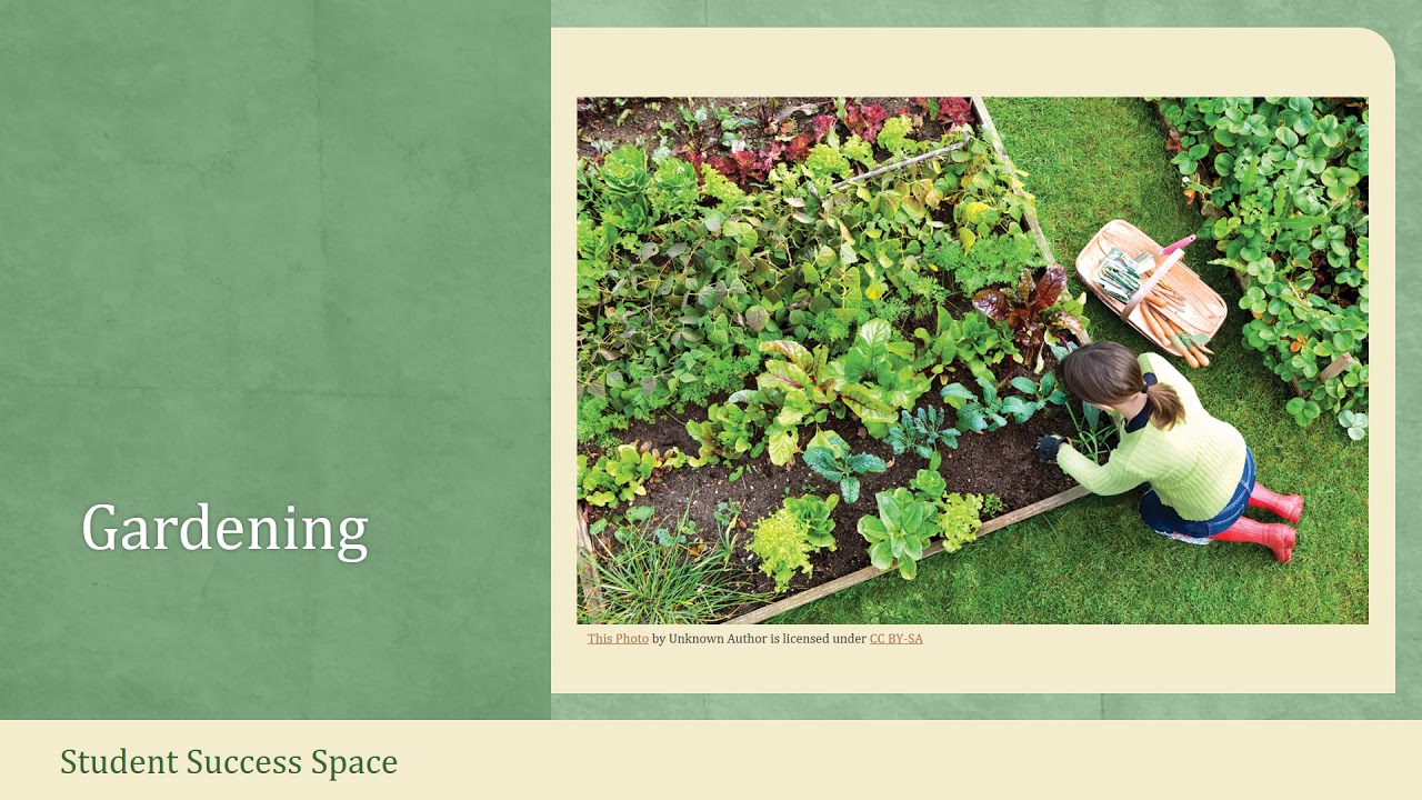 Develop Naturalistic Intelligence - Multiple Intelligences
