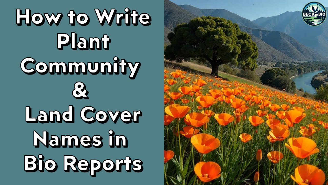 How to Write Plant Community and Land Cover Names in Bio Reports