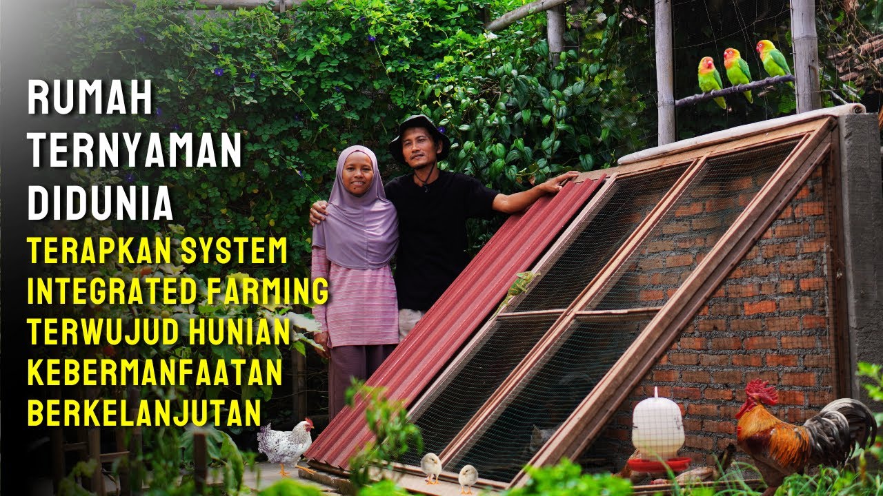 Rumah Sederhana Tapi Melimpah Pangan di Homestead dg System Integrated Farming, Pasutri Inspiratif
