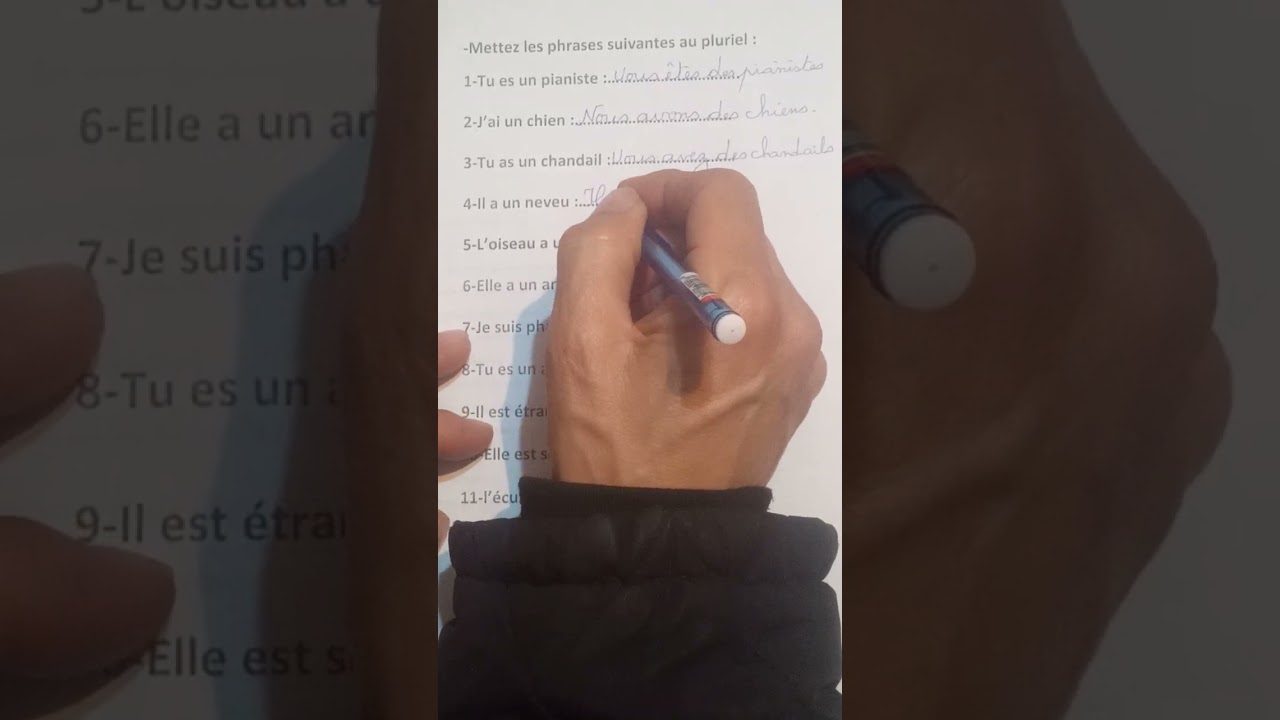Activité : mets les phrases suivantes au pluriel ( تحويل من المفرد الى الجمع)