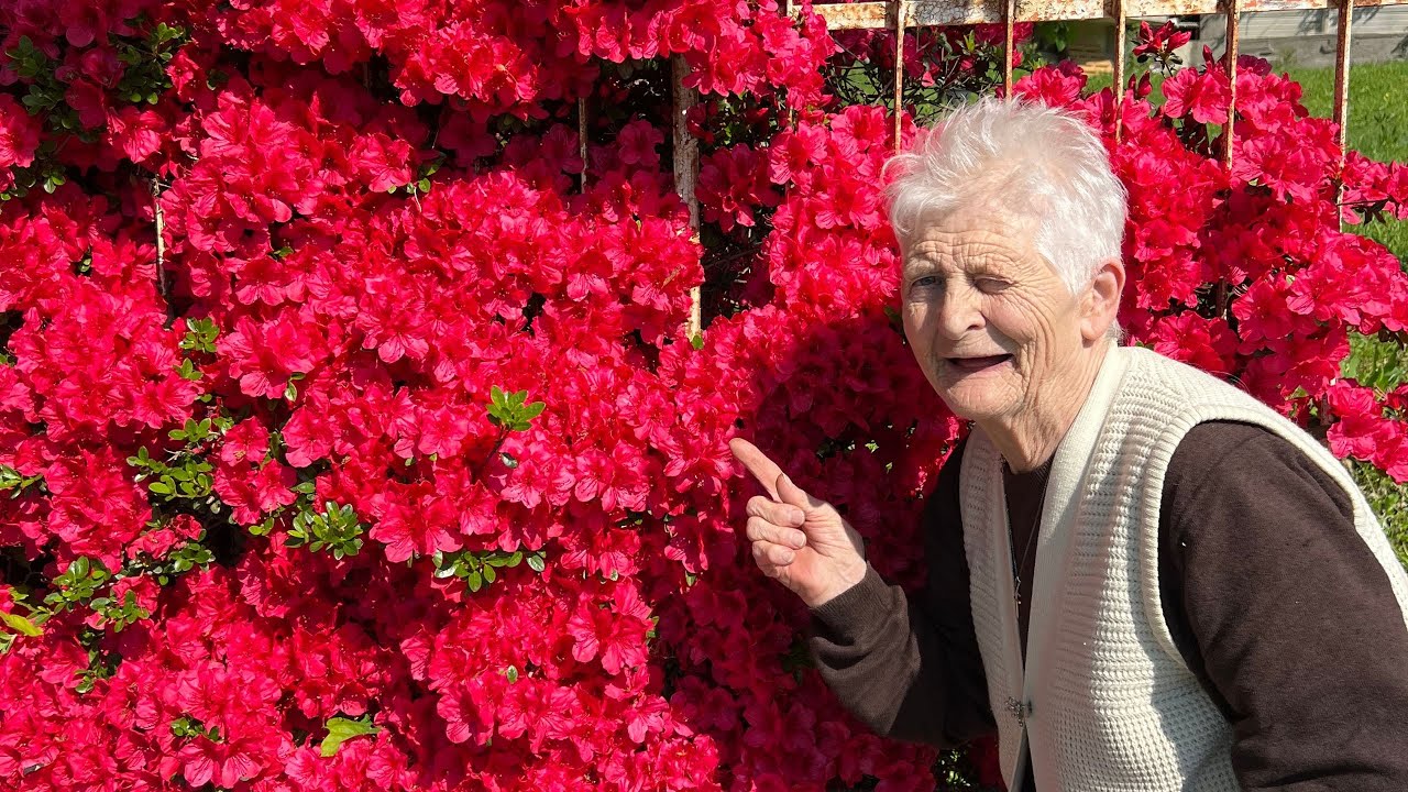 annaffiando l'orto con nonna Luigina