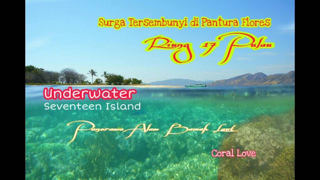 Tempat #Snorkeling Terbaik || Snorkeling di Taman Laut 17 Pulau Riung