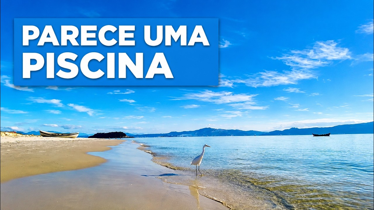UMA DAS MELHORES PRAIAS DE FLORIPA SC - PRAIA DA DANIELA - WALKING TOUR【4K】