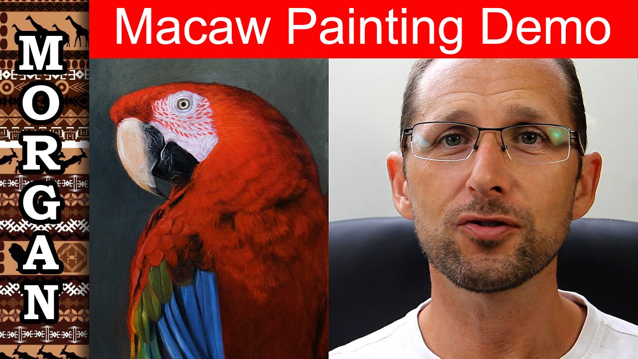 Painting a Macaw - Oil Painting Demo - Jason Morgan wildlife art
