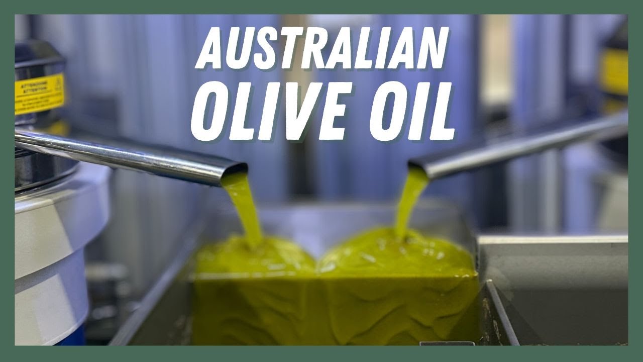 How Olive oil is made - Australia