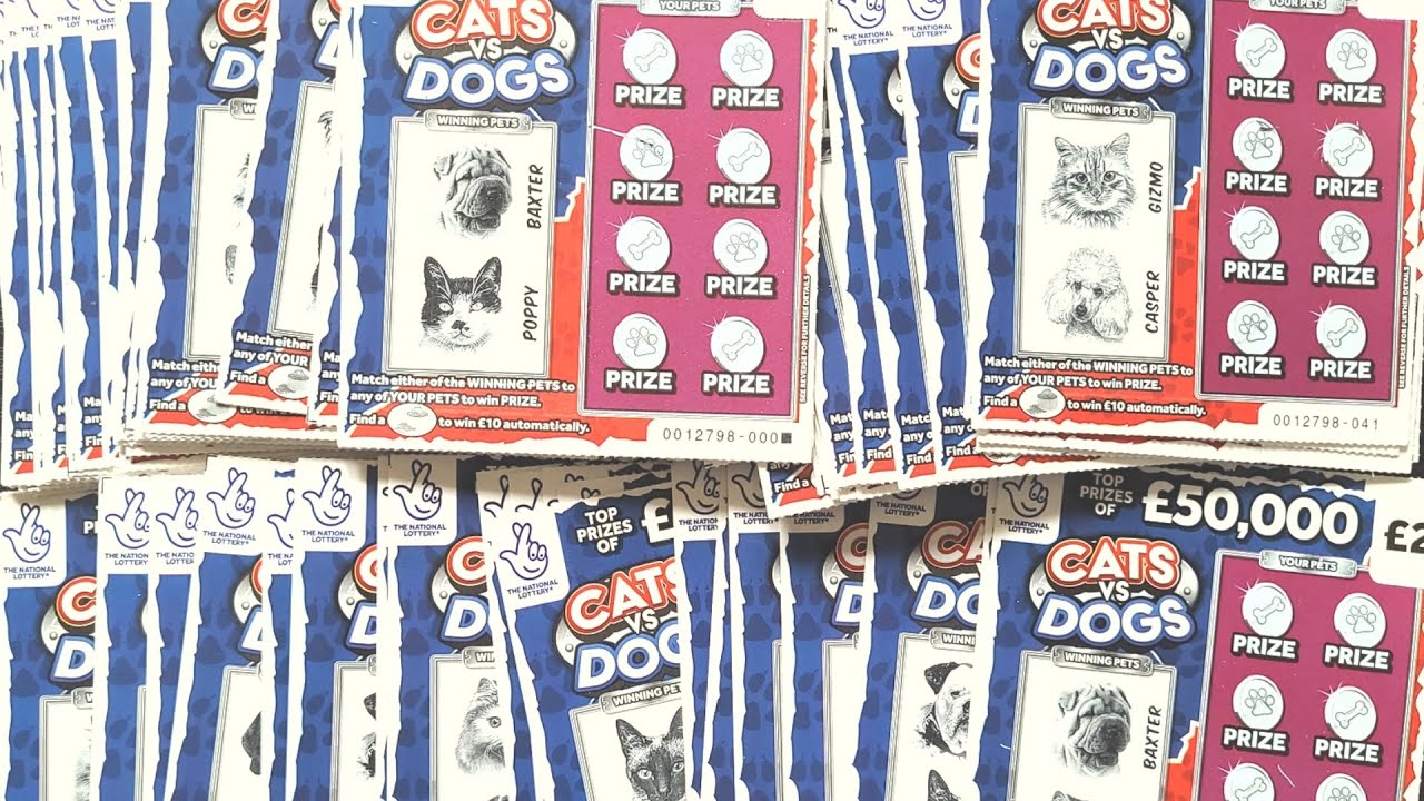 FULL PACK! (Part 2) £50,000 CATS VS DOGS Scratchcard ASMR National Lottery Scratch Card