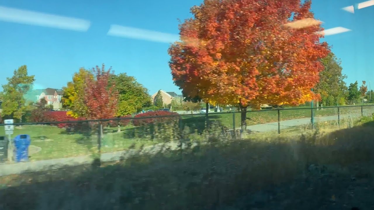 Lakeshore East GO Train Ride: Durham College Oshawa to Union