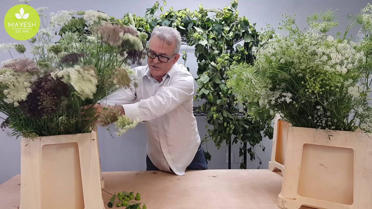 Mayesh Minute: Queen Anne's Lace