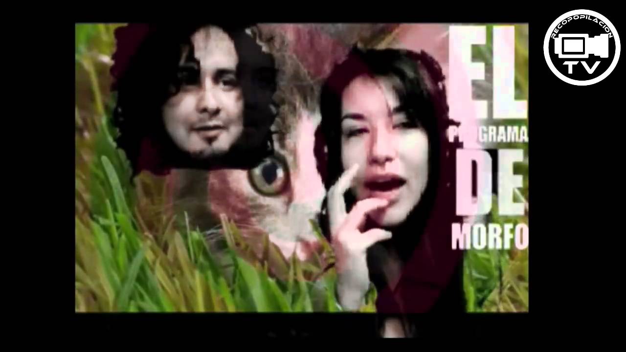 #ElProgramadeMorfo EN VIVO!!