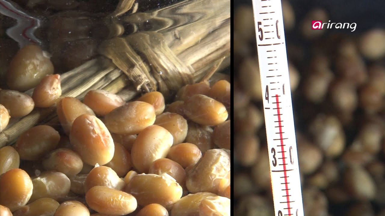 Taste of Wisdom Ep01 Korea's Healing Food, Cheonggukjan 한국의 힐링푸드, 청국장