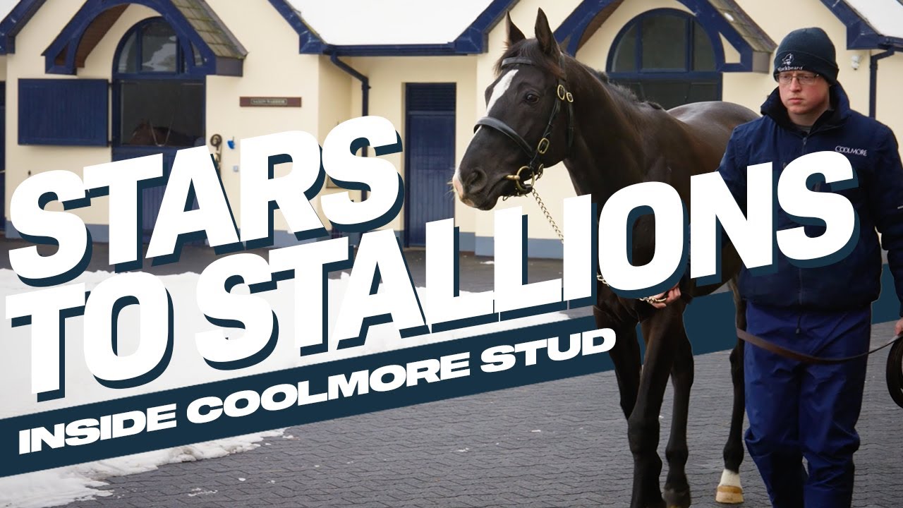 Stars To Stallions | Coolmore's 2025 Roster ft. City Of Troy & Auguste Rodin | Irish Stallion Trail