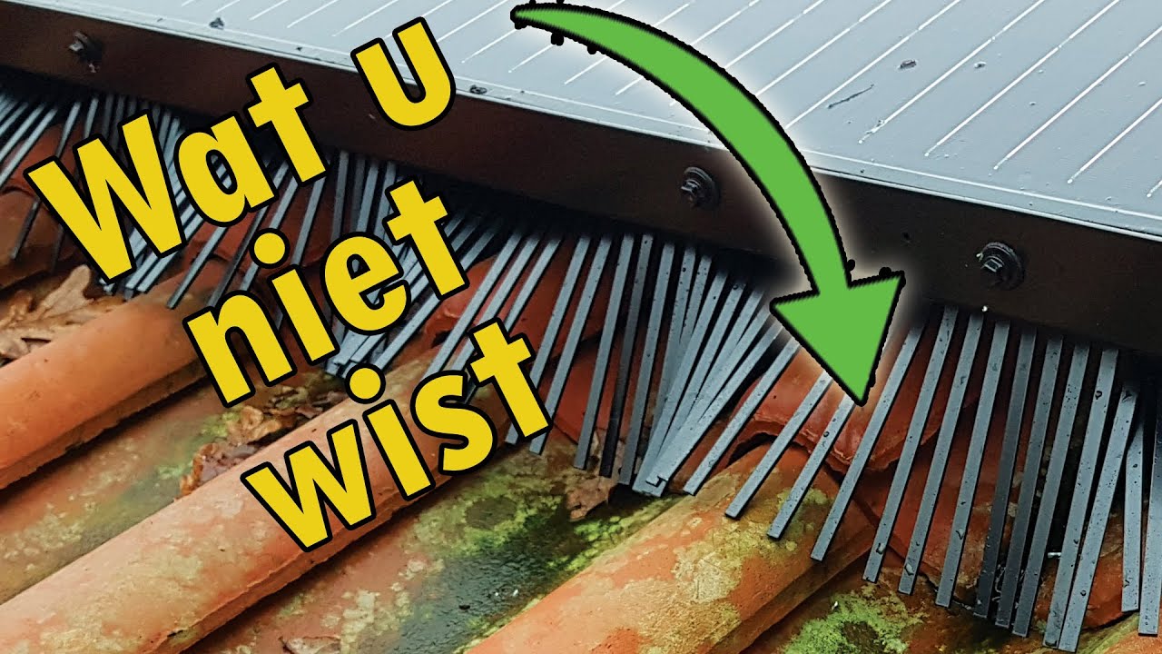 SOLARSCHROOT aan zonnepanelen installeren. Steenmarters en vogelwering. Vogel- marterschroot
