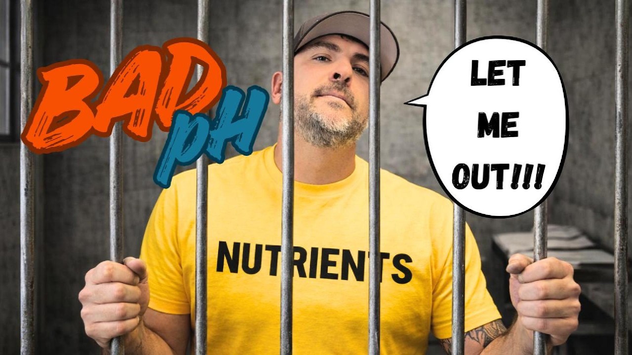 3 Signs Your Soil Has Locked Up Key Nutrients