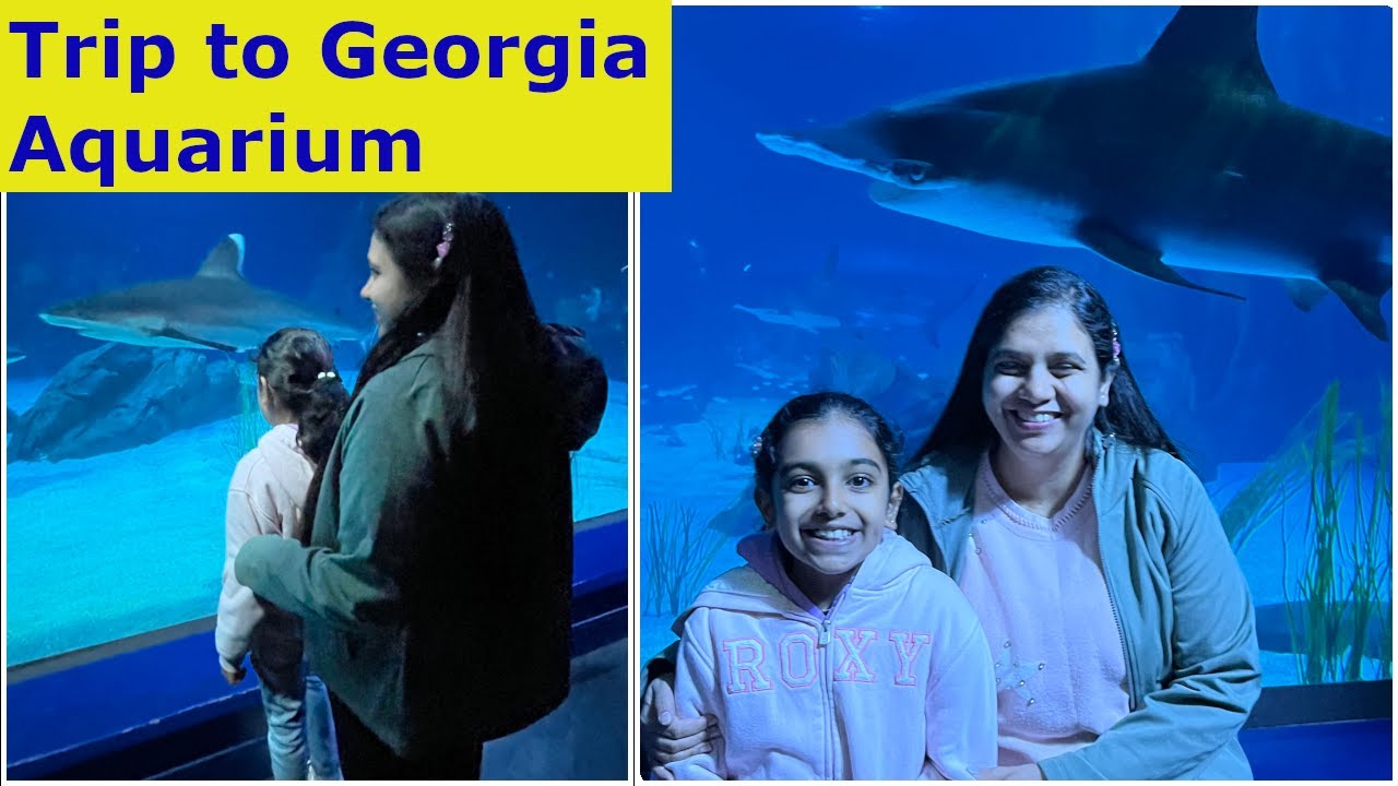 Atlanta Travel Vlog | AMAZING Georgia Aquarium