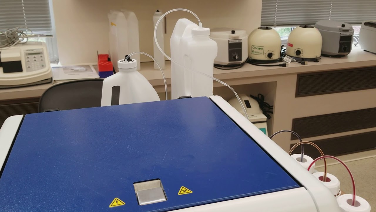 Microbiology: Automated Gram Stain