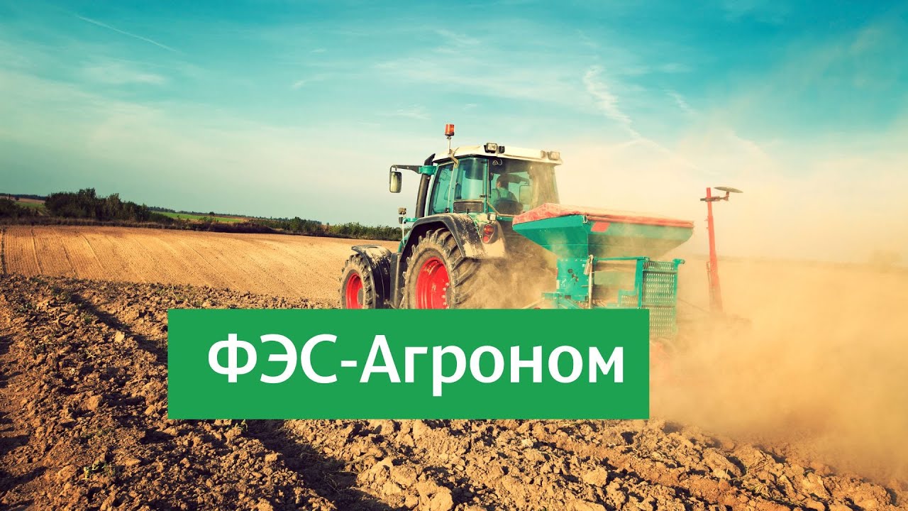 Озимые PRO. Основы питания озимой пшеницы осенью, стратегия на весну