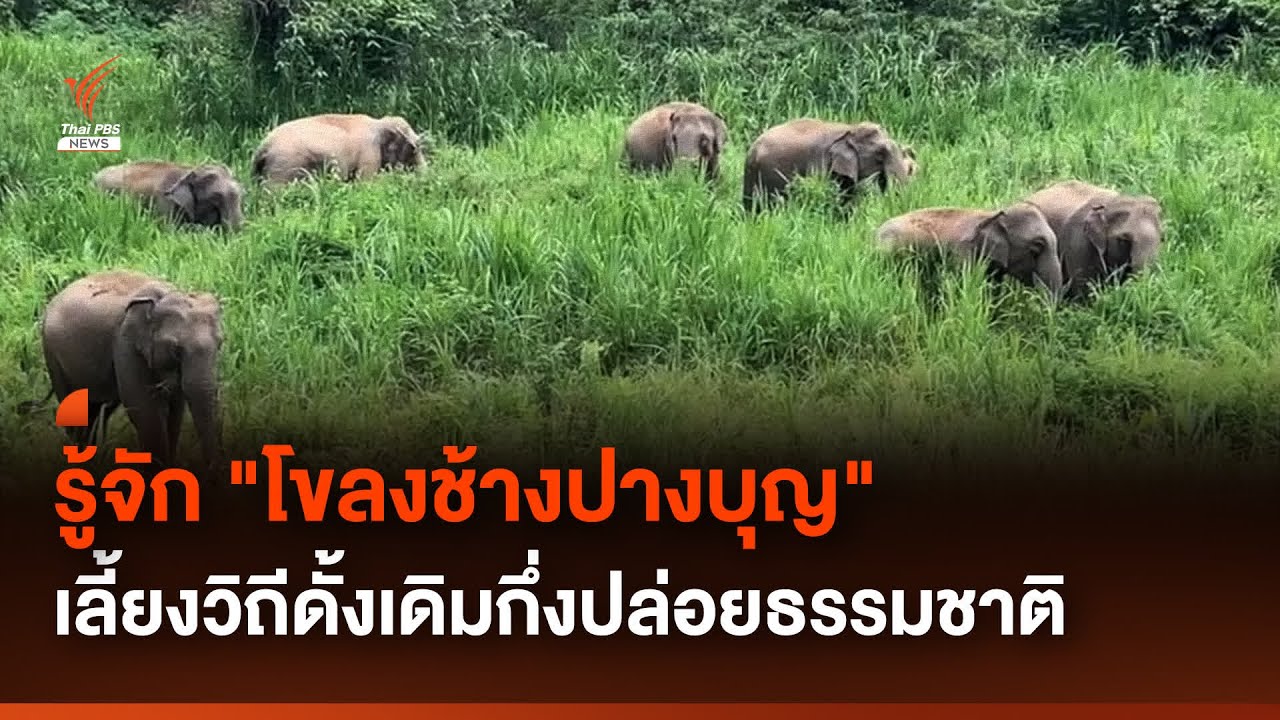 รู้จัก 