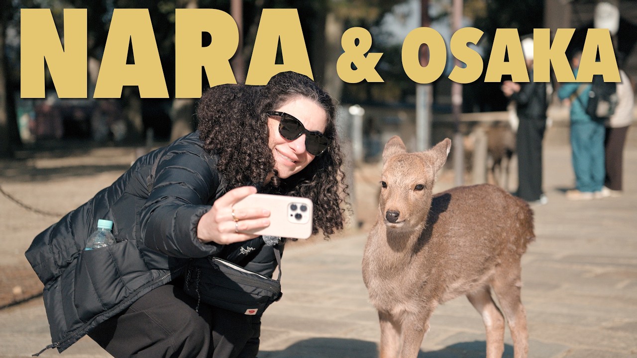 NARA ve OSAKA| Biri muhteşem, diğeri meh...