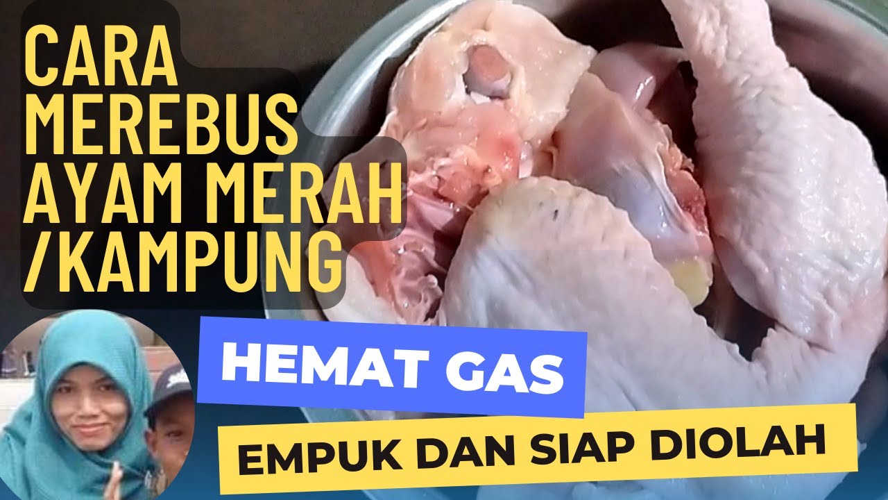 Cara Merebus Ayam Merah, Empuk Tanpa presto Methode 5307 || How to Boil Red Chicken without pressure