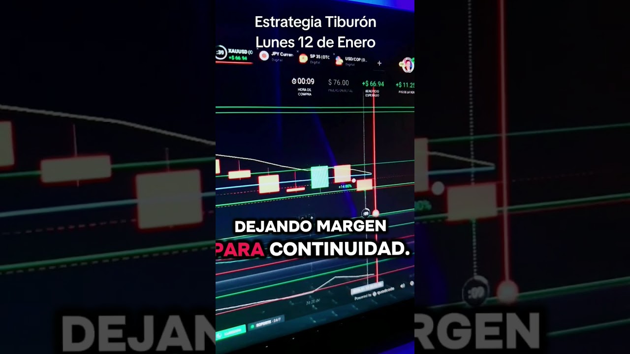 Participa en el live de copy trading gratis de hoy