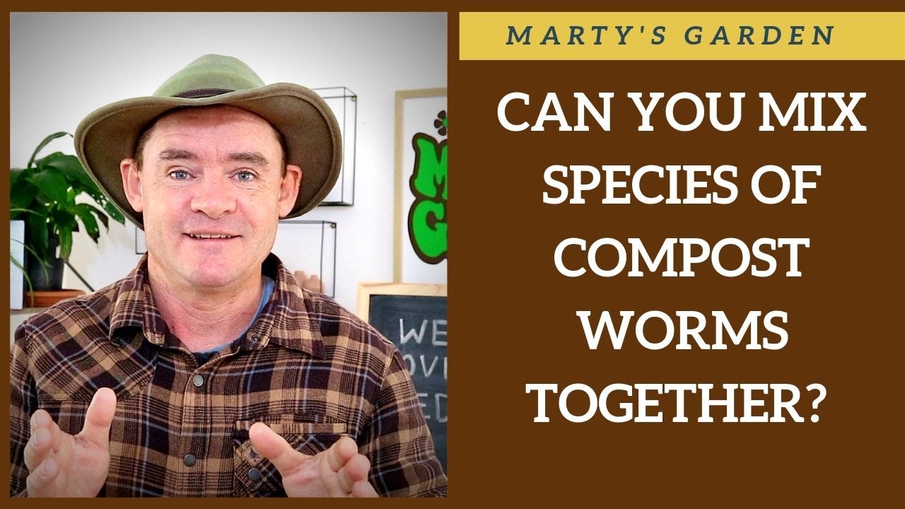 Can You Mix Species of Compost Worms Together