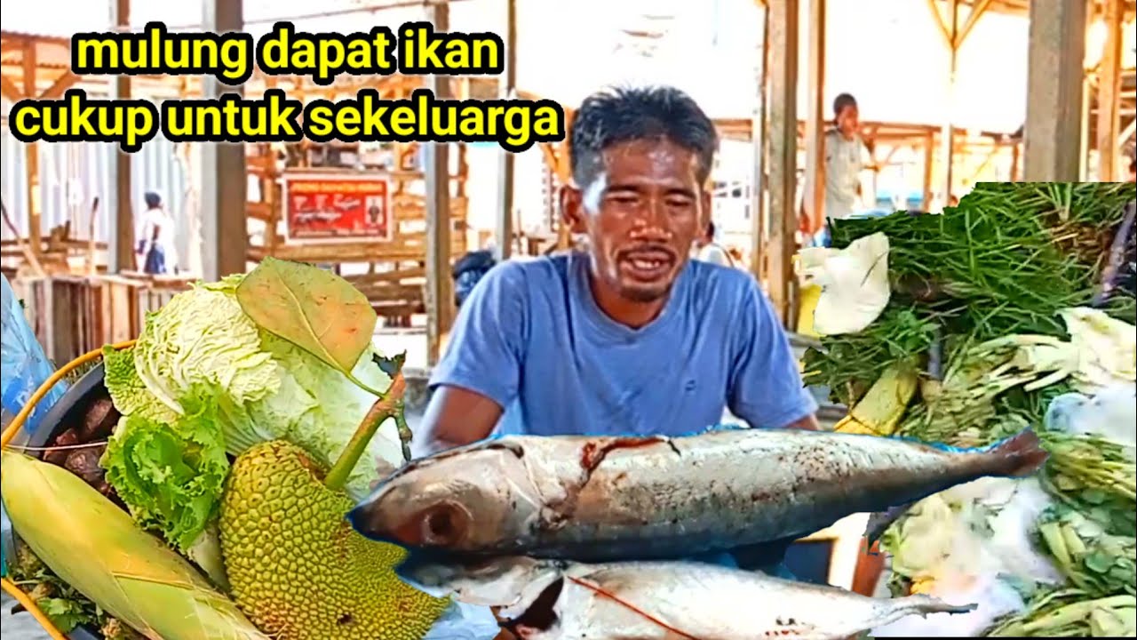mulung dapat ikan bisa untuk makan sekeluarga